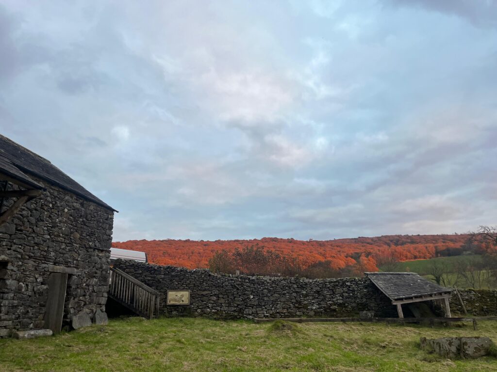 Edge of the stone brick tannery building with stone-built wall enclosure. Sunlight with orange and pink hues hitting on the woodland in the distance