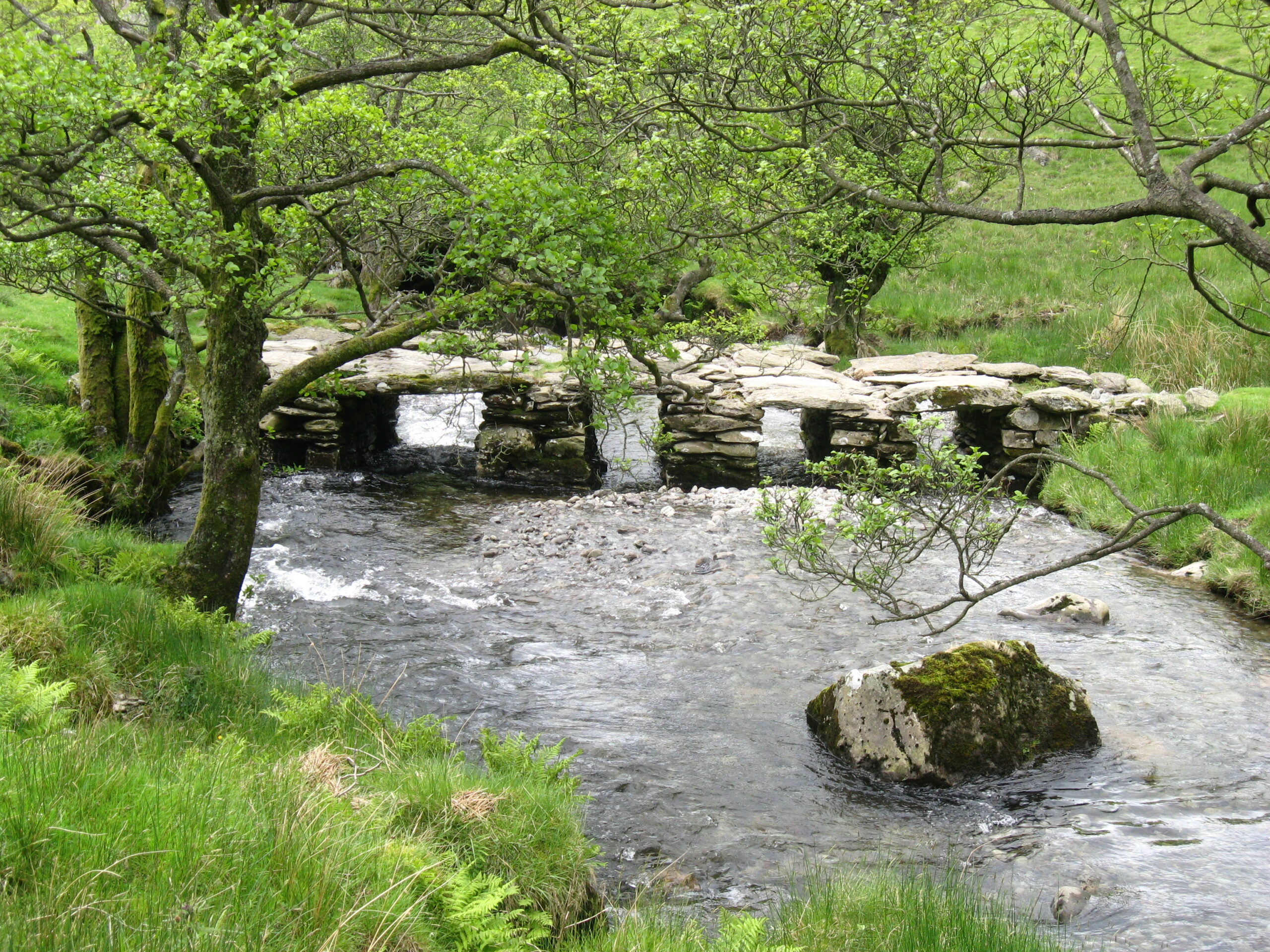 river with stone slab bridge and surrounding green vegetation