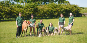 A group of farmers on a gield with cow and dogs