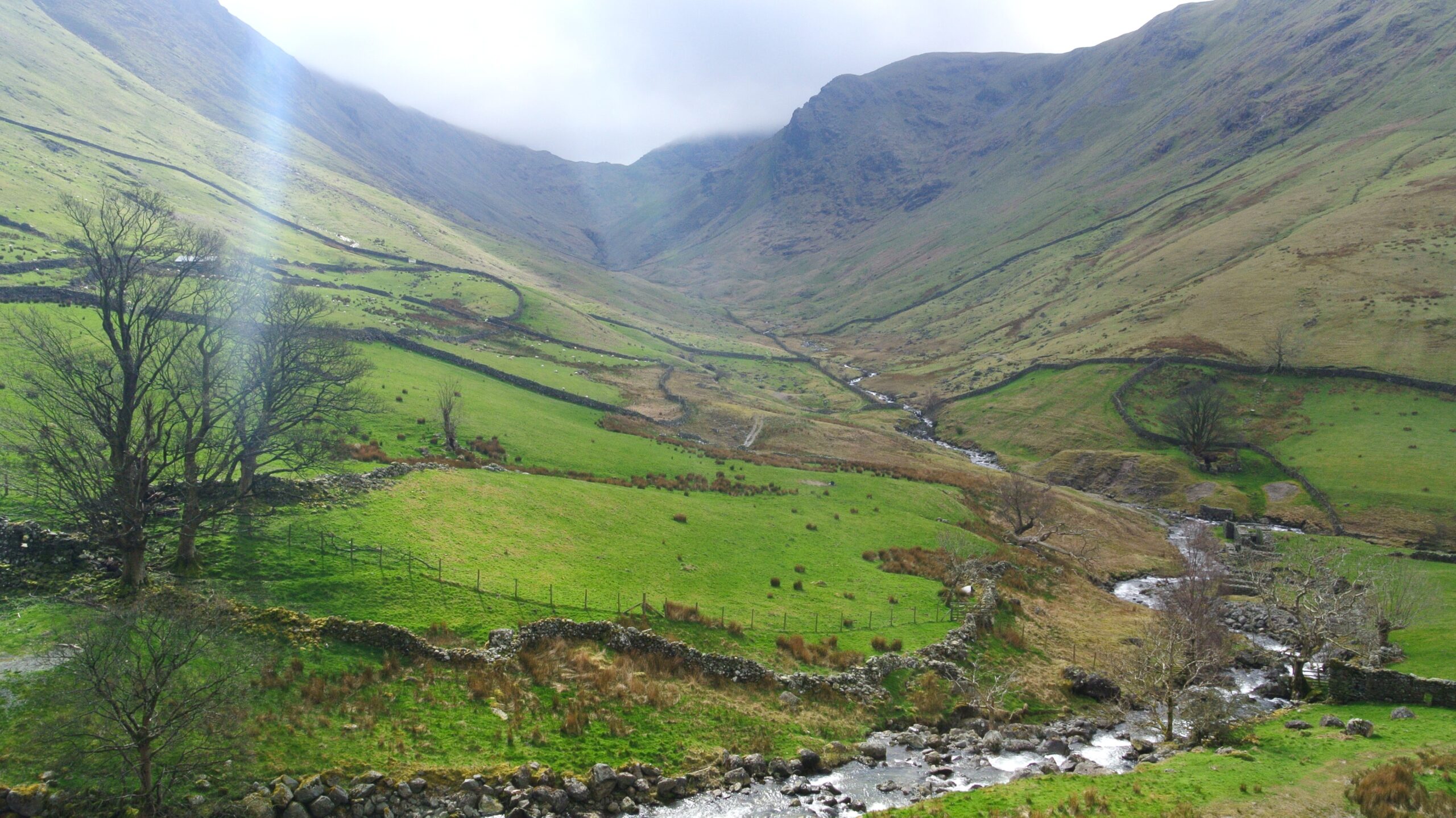fell valley with green fields divided by dry stone walls, a stream and trees