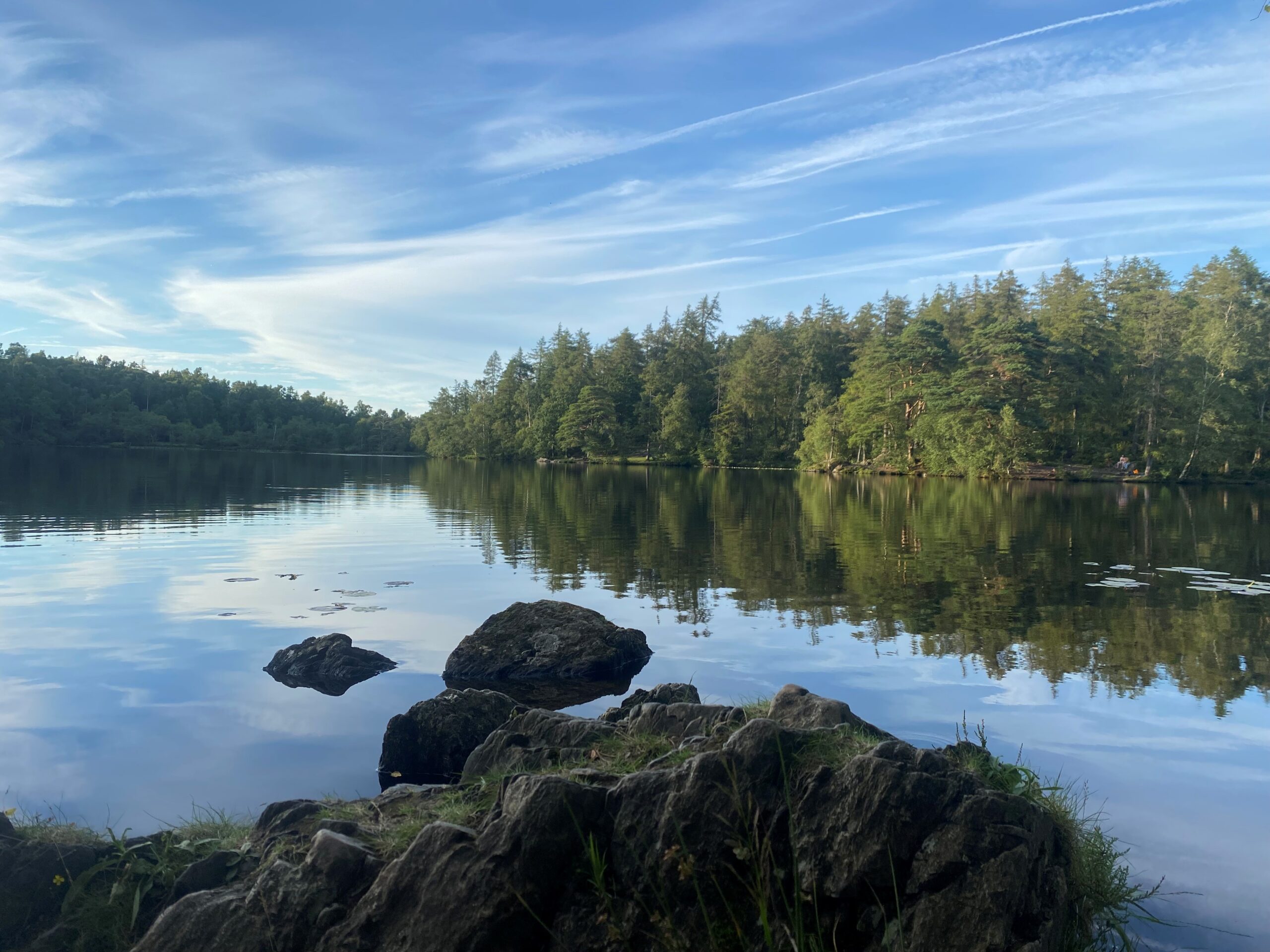 Calm tarn with pine trees in background