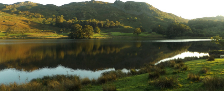 Spring Walks of Rydal