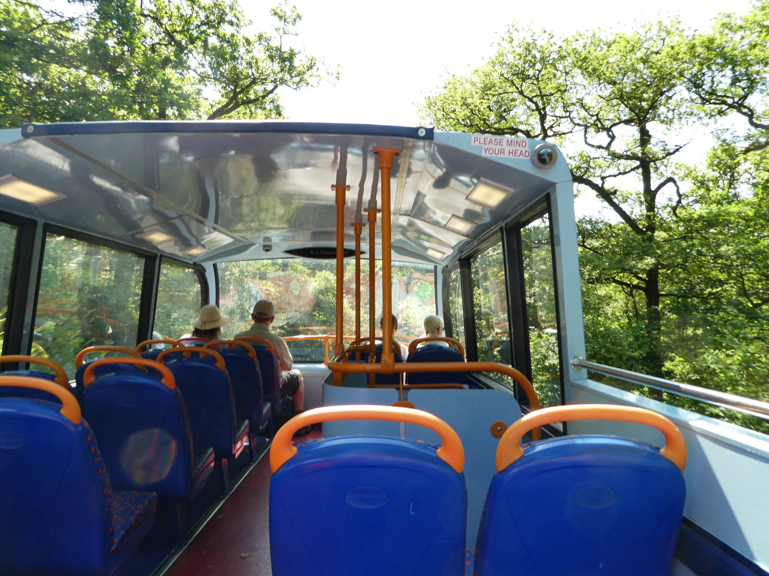 View sat on the open top bus travelling to Borrowdale with trees overhead