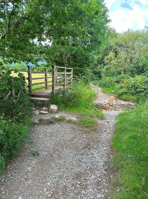 bridge with stones up to it and stream beside it, with dog drinking from stream