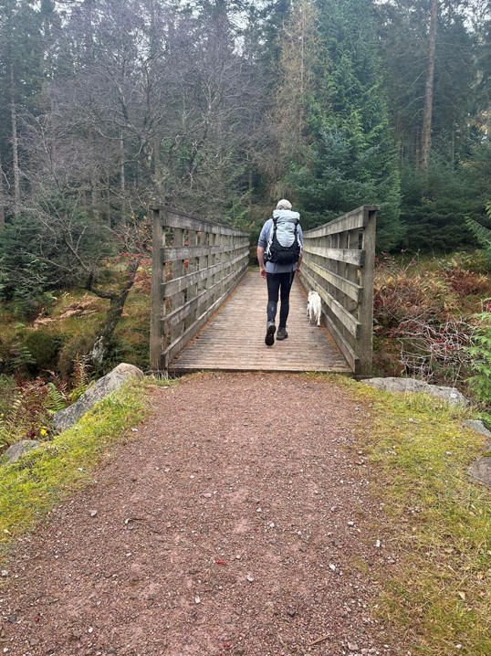 wooden bridge with man and dog crossing