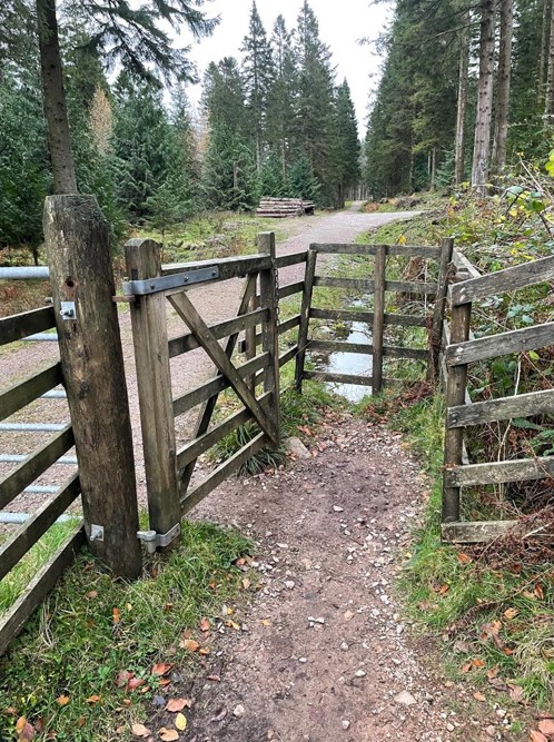 tight wooden gate next to wider metal gate with loose stones and puddle on forest track