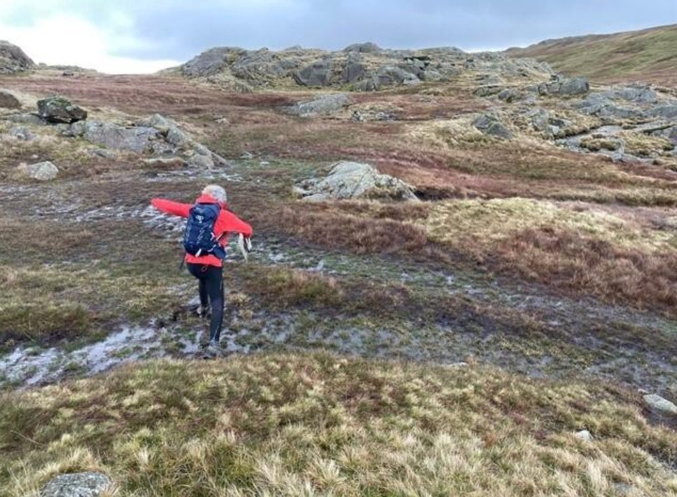 degraded areas of wet flush