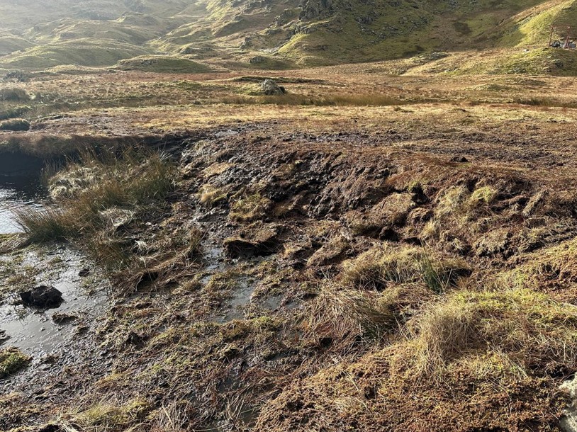 area of damaged peatland