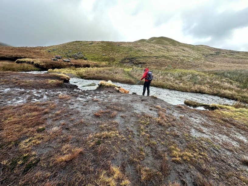 damaged peatland with eroded banks of stream