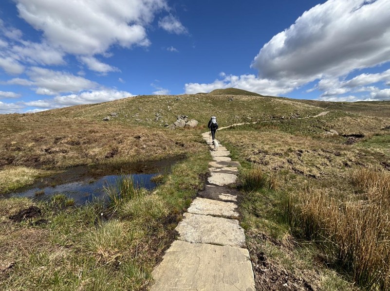 flagstones over the peat