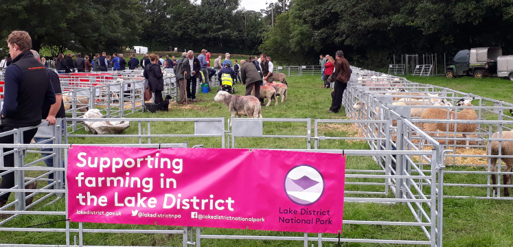 a Lake District Natioanl PArk farm sign on a sheep pen at a farming show