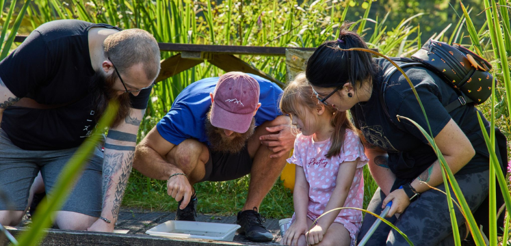 A family are guided to look at the new pond habitat 