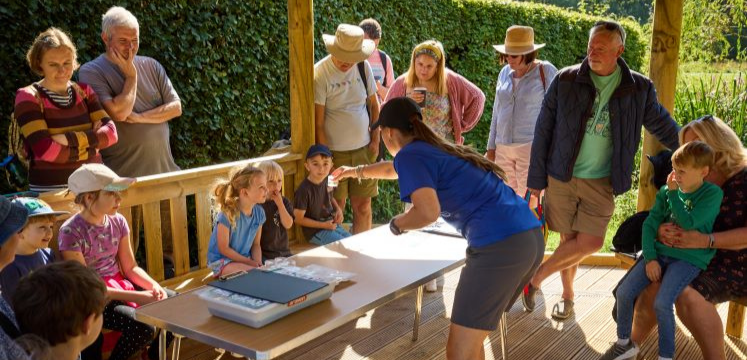 a class get guidance on an art project related to Generation Green 