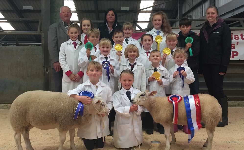 Agricultural show