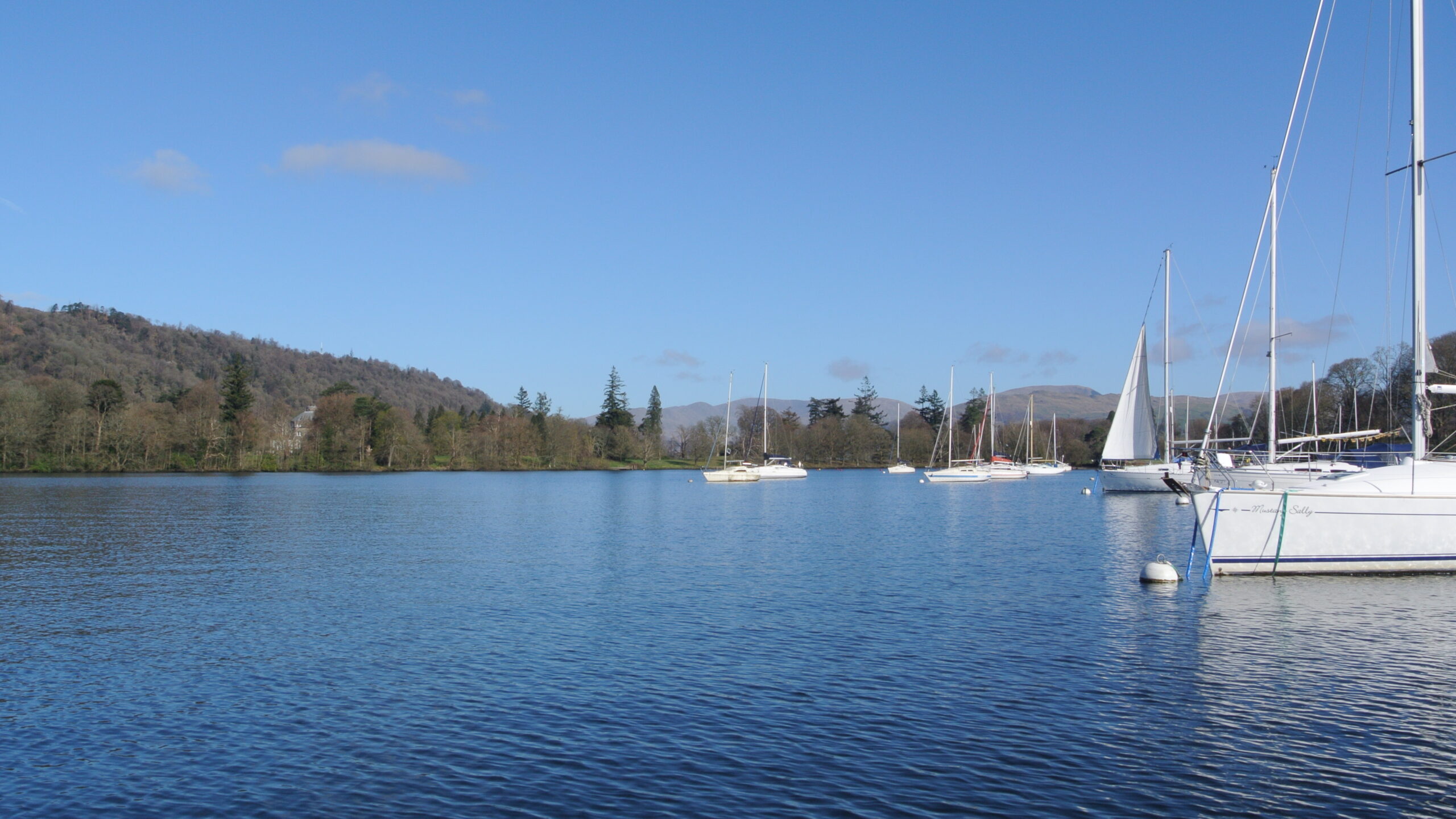 still blue lake lined with distant woodland, white sail boats moored