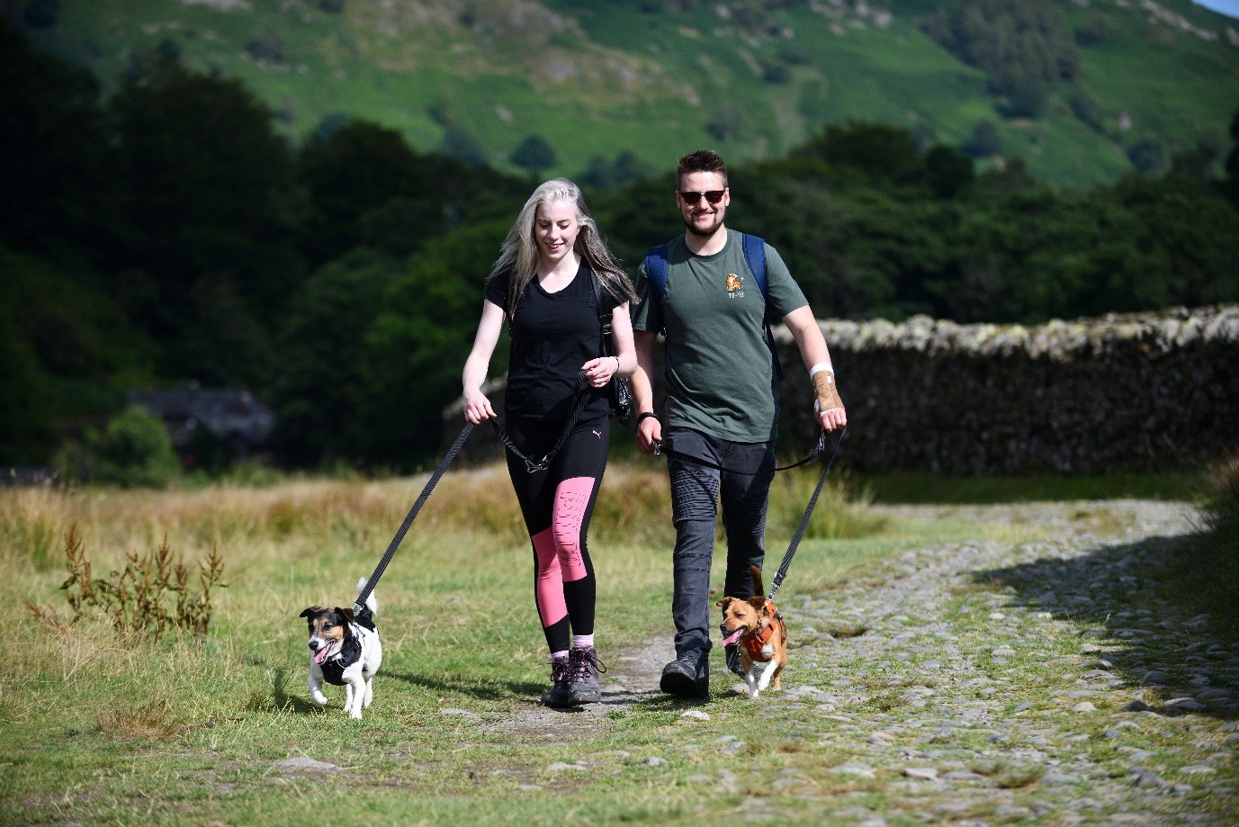 Two walkers walking dogs on leads