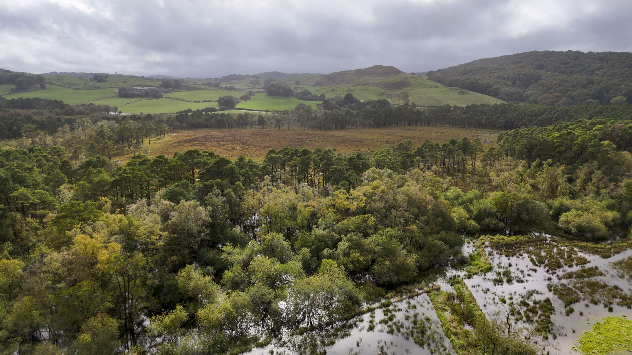 Lake District woodland to be part of Ancient Canopy to celebrate The Queen’s Platinum Jubilee