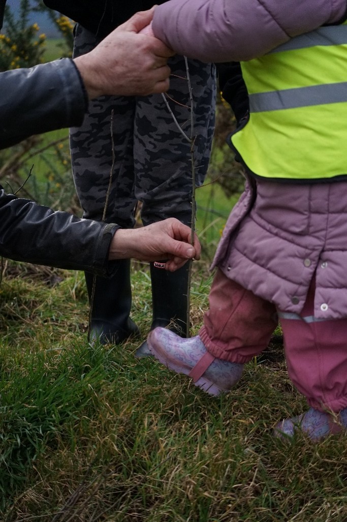 child's foot pushing tree into ground