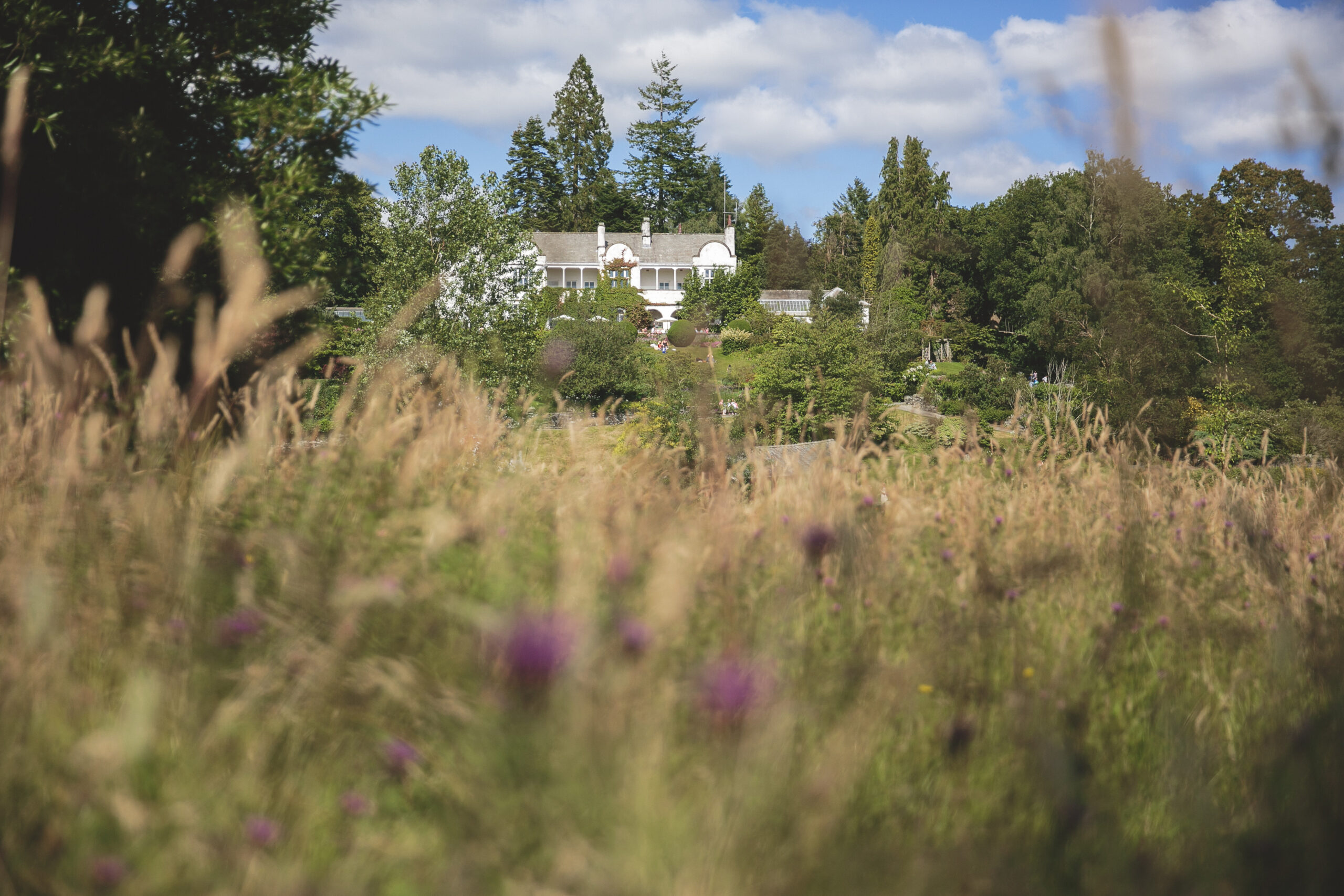 brockhole house nestled behind wildflowers