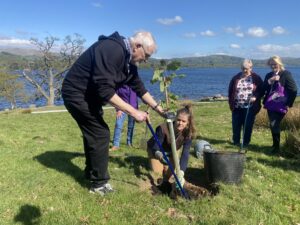 man with a walking stick bending down to plant a sycamore sapling in the ground