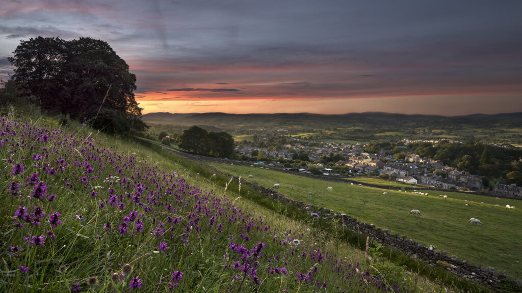 landscape view of kendal town and the surrounding farm fields with purple wildflowers and trees at sunset