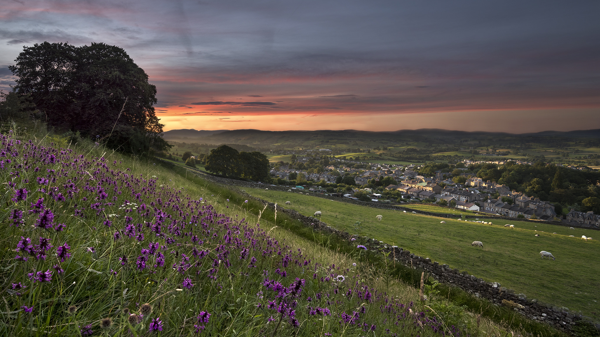 Introducing the new look Lake District National Park Authority website