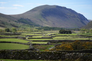 large fell with field system in front including drystone wall enclosures