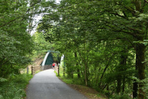 bridge in distance with walkers crossing surrounded by leafy green trees