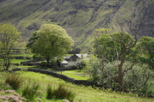 collection of farm buildings nestled amongst some trees in the base of a valley with steep fellsides