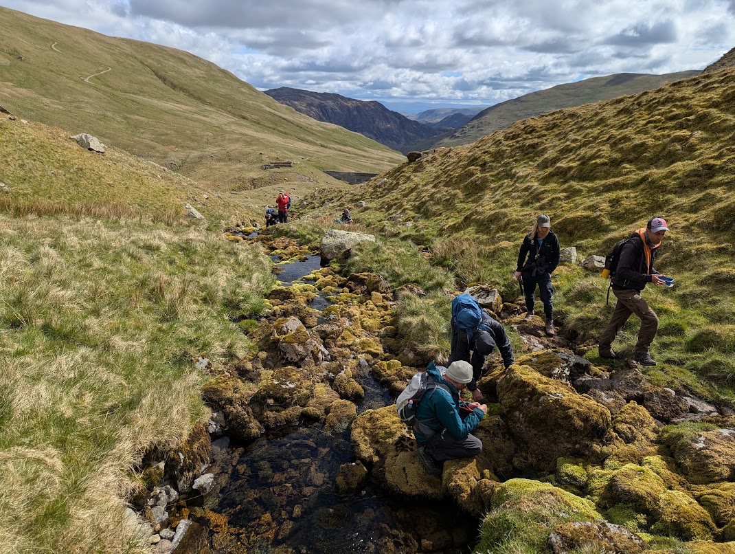 Experts identify mosses and liverworts in the Lake District