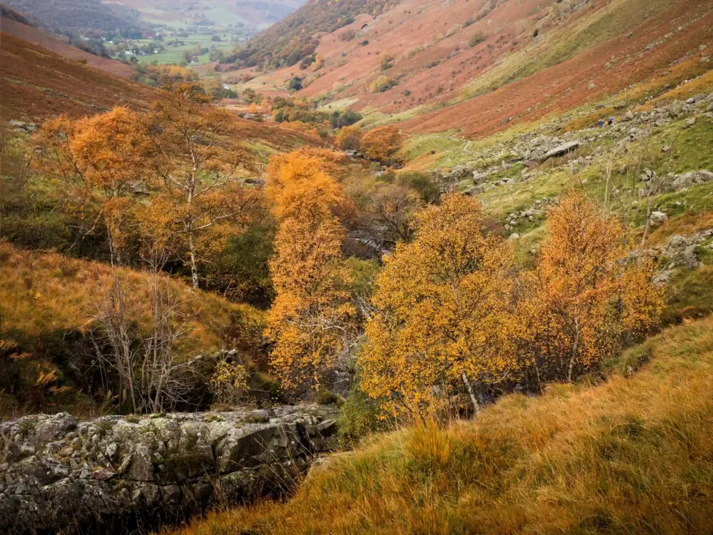 Borrowdale valley in Autumn