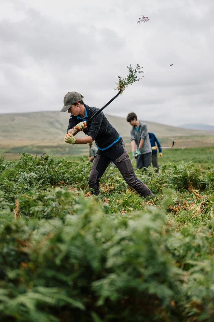 Volunteer bracken bashing in the outdoors