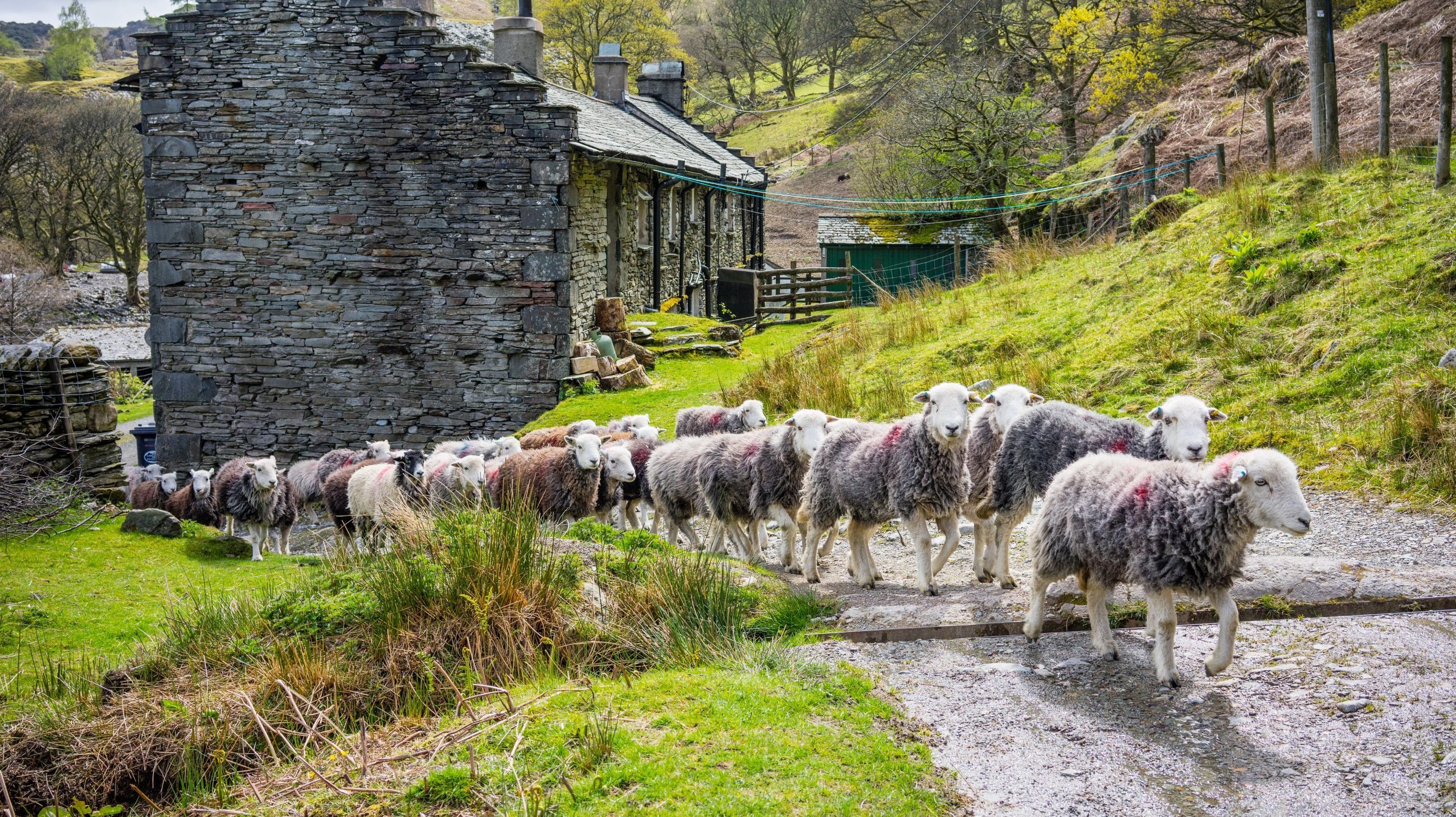 National Park invests £6 million in Farming in Protected Landscapes projects