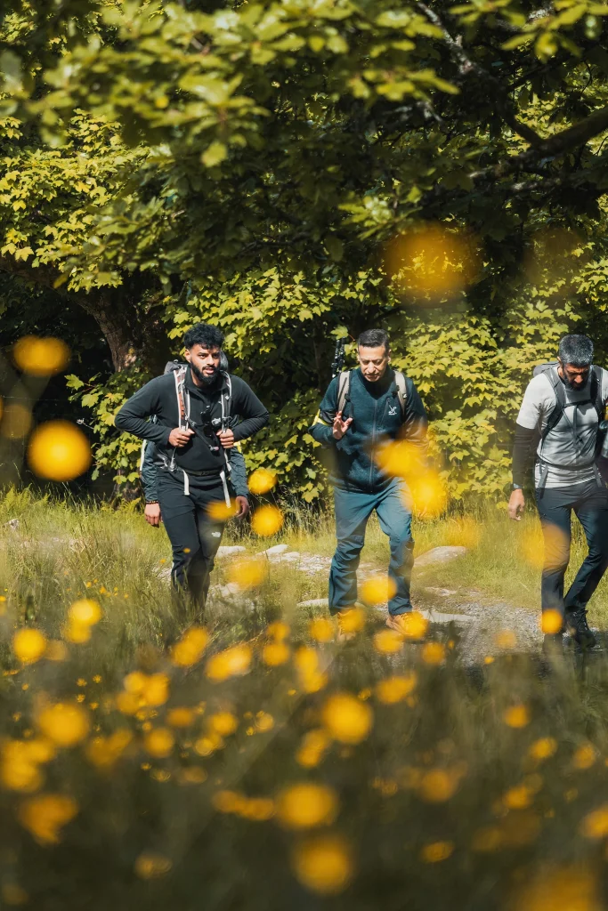 three adult males walking amongst lush green trees and buttercup flowers