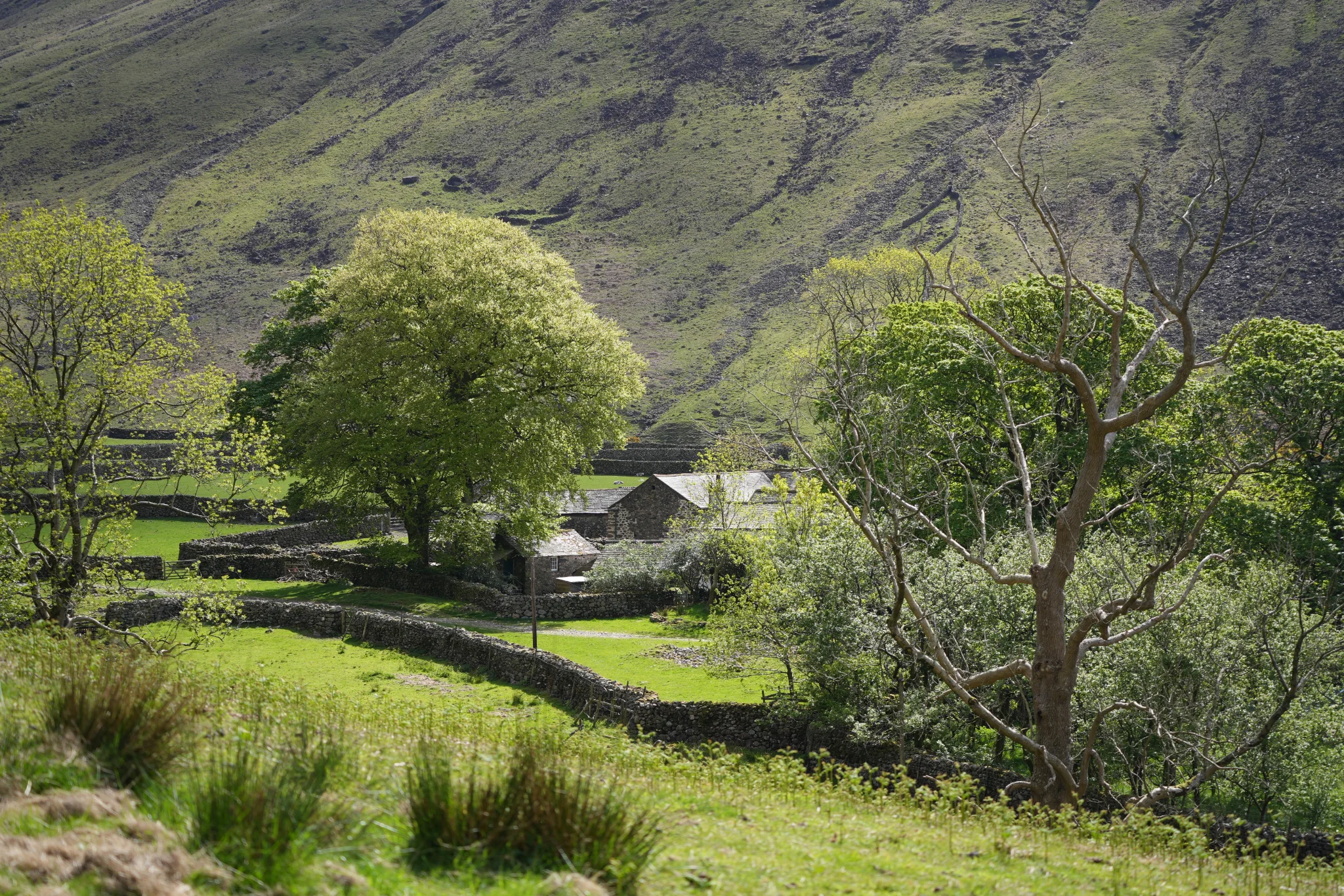 Our approach to farmer-led nature recovery