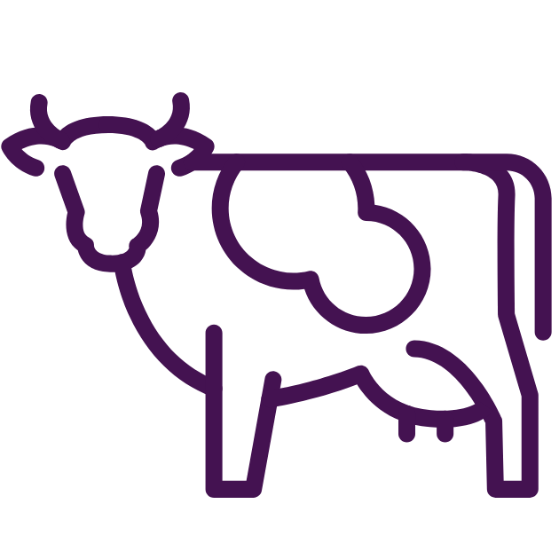 Cow Icon